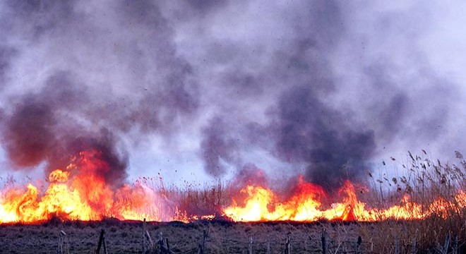 Erciş te sazlık yangını, 2 saatte söndürüldü