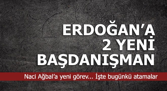 Erdoğan'a 2 yeni başdanışman atandı
