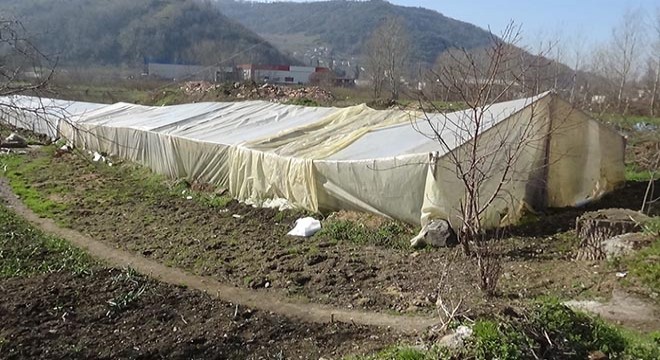 Ereğli'de kar nedeniyle 40 sera yıkıldı