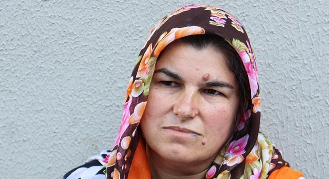 Erzurum'da ayı saldırısı: 1 ölü, 2 yaralı
