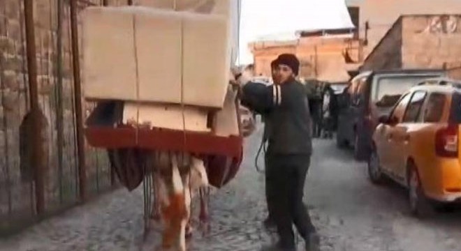Eşekle kanepe taşınmasına tepki