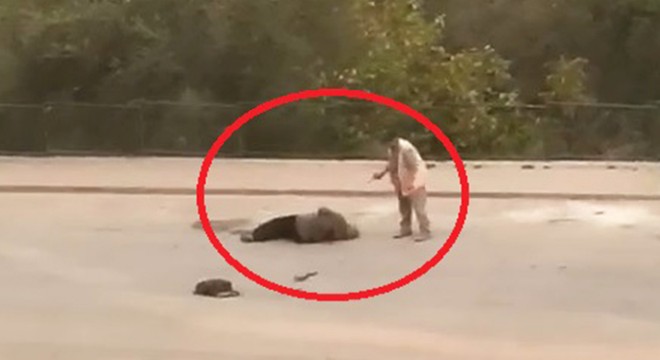 Eşini sokakta vurup ağır yaraladı