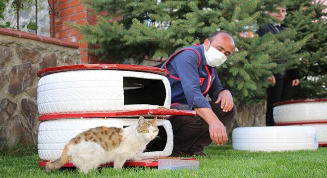 Eski araba lastiklerinden mama kabı yaptılar