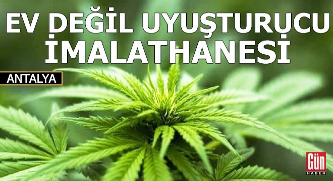 Ev değil, uyuşturucu imalathanesi!