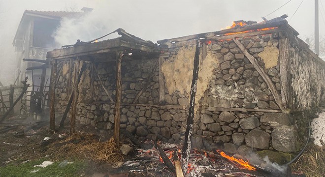 Ev yangınında engelli çocuk ve annesi hafif yaralandı