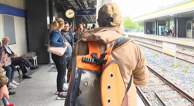 Evcil hayvanlarla seyahat; boyutta kriter 'kafes'