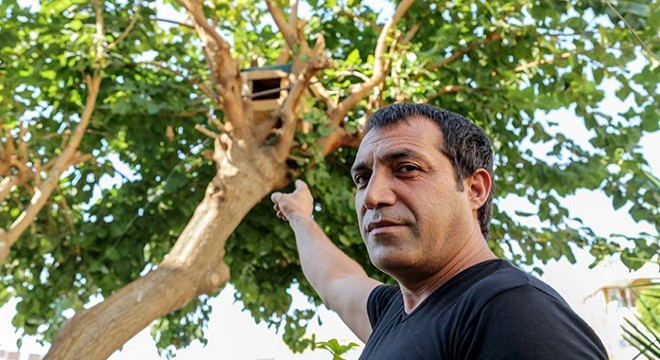 Evcilleştirdiği kayıp kargasını sokak sokak arıyor