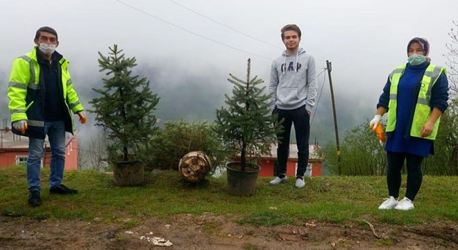 Evde kalanlara 5 bin adet boylu fidan dağıtıldı