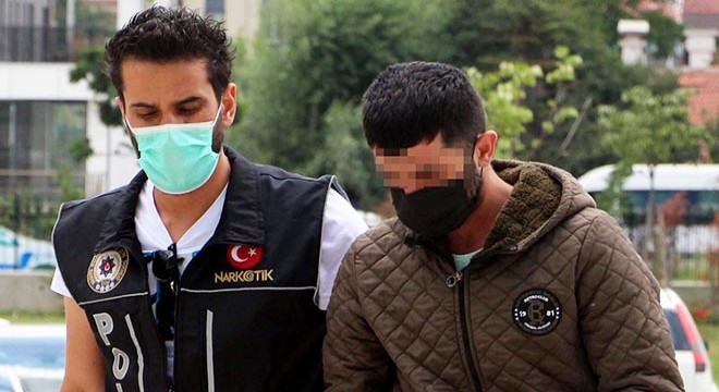 Evde özel düzenekle Hint keneviri yetiştirirken yakalandı