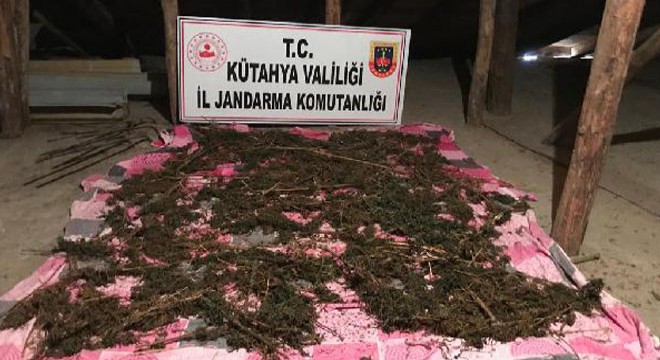 Evin çatısında 4 kilo esrar kuruturken yakalandılar