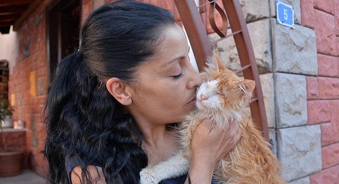 Evinde 75 kedi besliyor