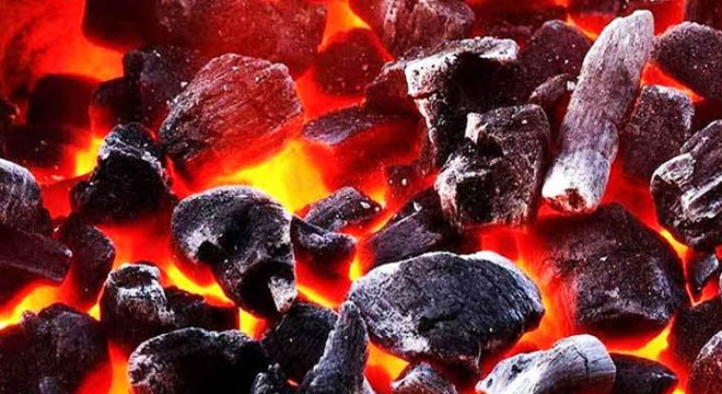 Evinde karbonmonoksit gazından zehirlenerek, hayatını kaybetti