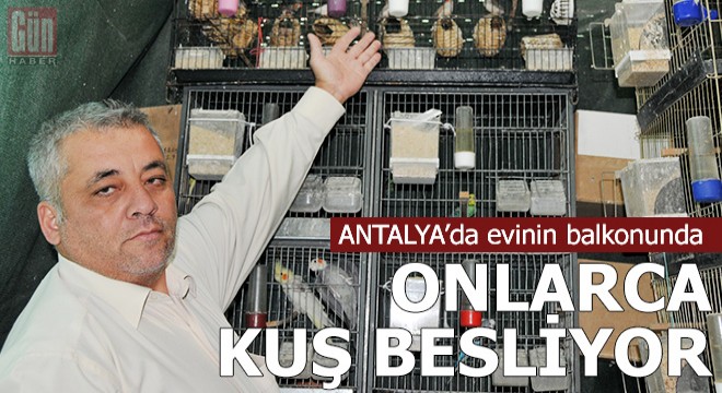Evinin balkonunda onlarca kuş besliyor