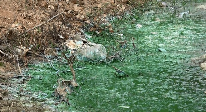 Eyüpsultan'da göle kimyasal atık boşalttılar