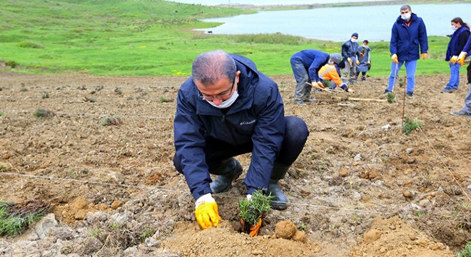 Eyüpsultan’a 15 bin lavanta dikimi yapılacak