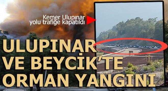 Eyvah... Orman yangını haberi bu kez Kemer'den geldi....