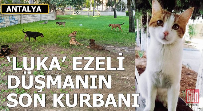 Ezeli düşmanlık 'Luka'nın sonu oldu