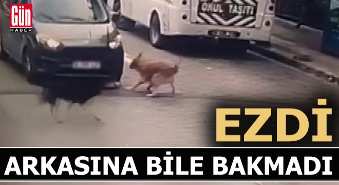 Ezip öldürdü; arkasına bakmadan yoluna devam etti