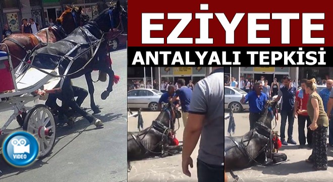 Eziyete Antalyalı tepkisi