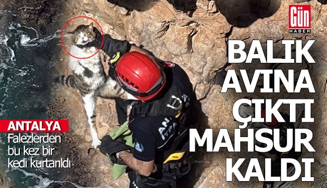 Falezlerden bu kez kedi kurtarıldı