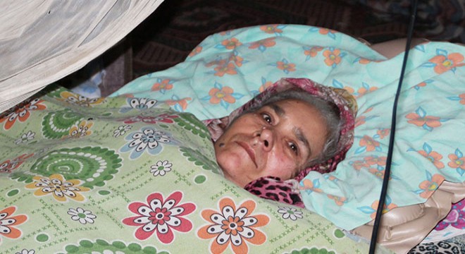 Felçli kadın ağıldan bozma barakada yaşamaya çalışıyor