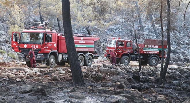 Fethiye'de alevler, 5 hektar ormanlık alanı küle çevirdi
