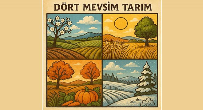 Fide Ekerken Nelere Dikkat Edilmeli?