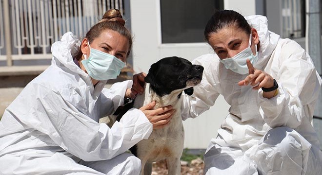 Filyasyon ekibinin moral kaynağı 'Filyasyoncu Nazlı'