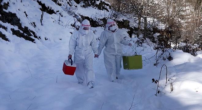 Filyasyon ekipleri karda da virüsün izini sürüyor