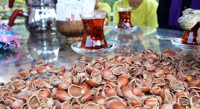 Fındık kabuğundan çay yaptı