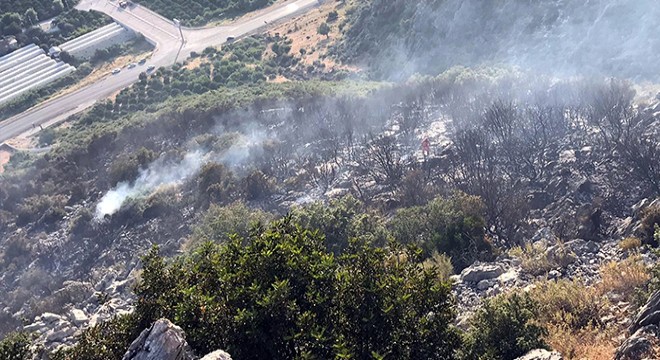 Finike'de ormanlık alanda yangın