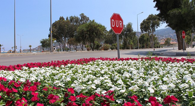 Finike'de peyzaj çalışması