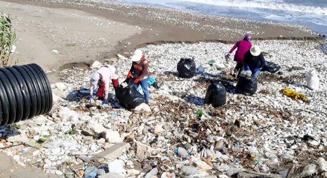 Finike de kıyı temizliği