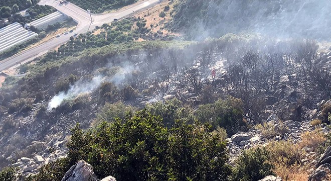 Finike de ormanlık alanda yangın