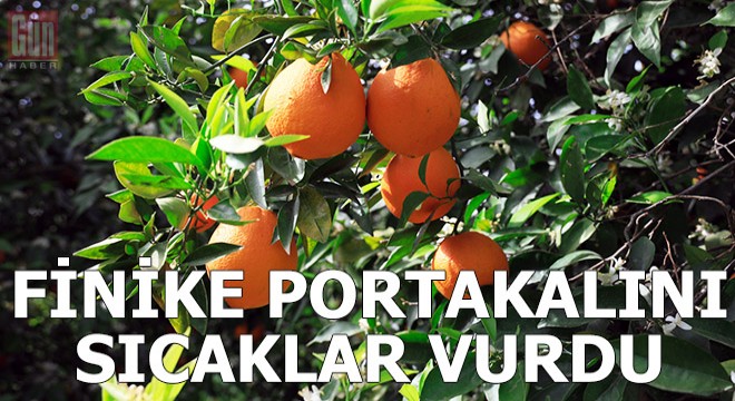 Finike portakalını aşırı sıcaklar vurdu