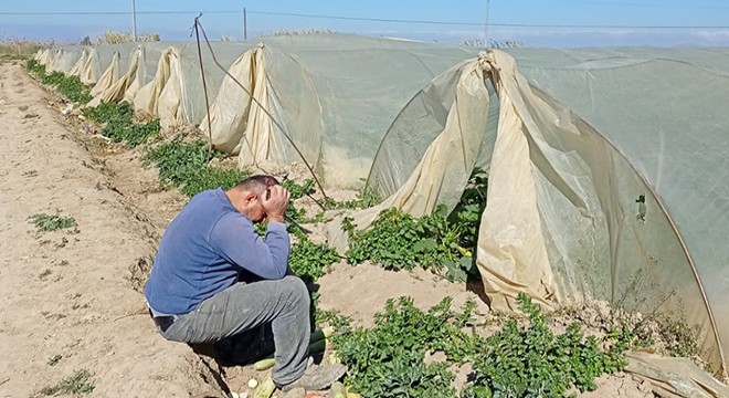 Fırtına seraları yıktı, evlerin çatılarını uçurdu