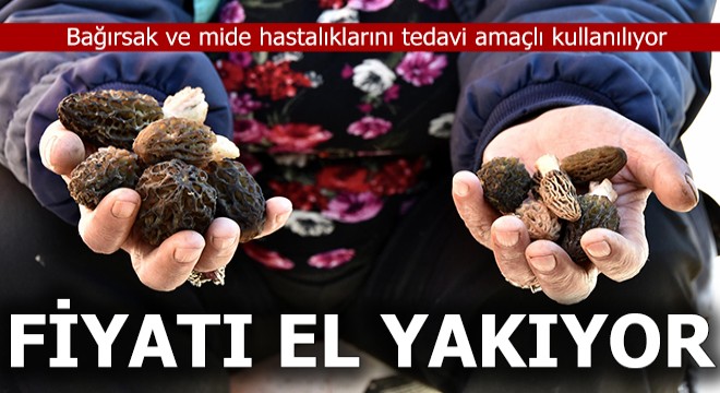 Fiyatı el yakıyor