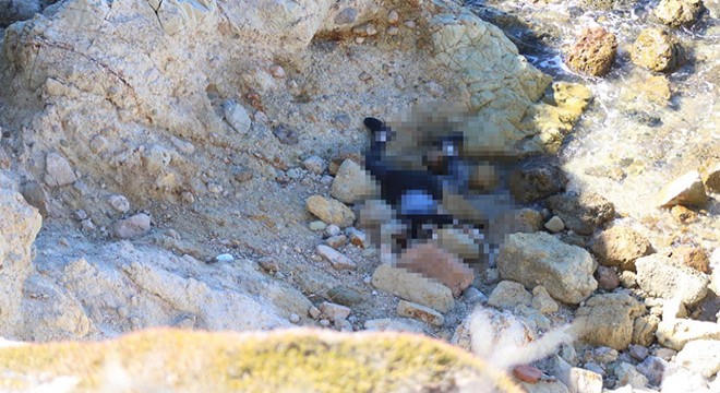 Foça'da 10 gün arayla bir ceset daha bulundu