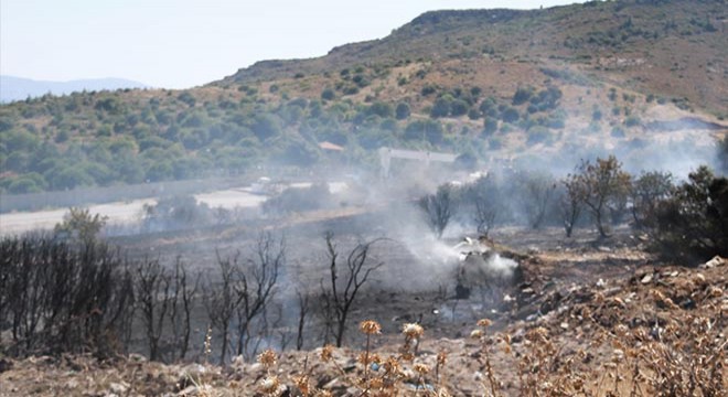 Foça'da 2 hektar makilik alan yandı