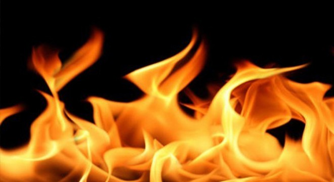 Foça'da besi çiftlikleri yakınında yangın