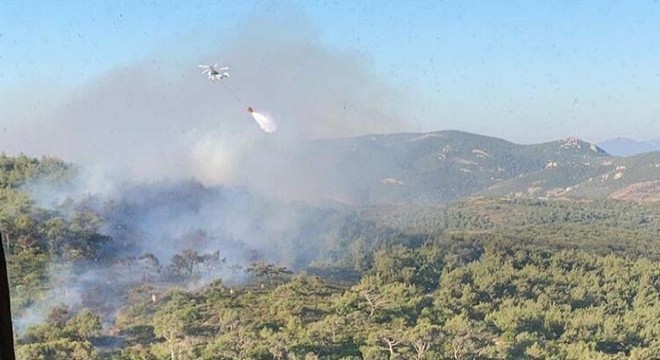 Foça'da orman ve makilik yangını, 1 saatte söndürüldü
