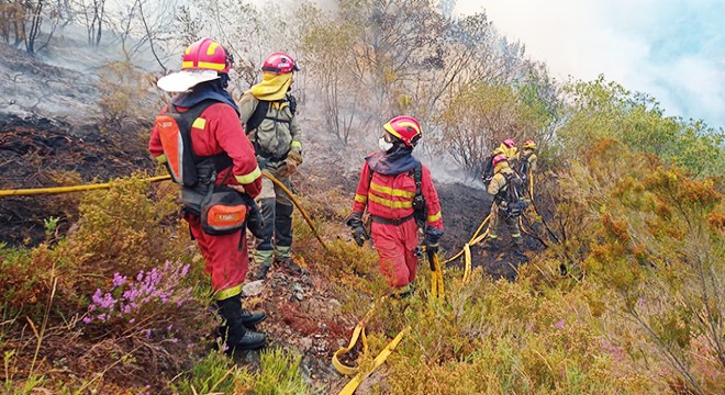 Fransa ve İspanya’da orman yangınlarıyla mücadele devam ediyor