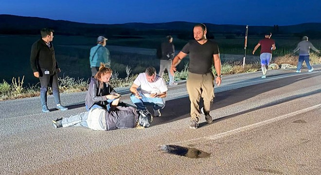 Fransız kadın, motosikletiyle koyunlara çarpıp yaralandı