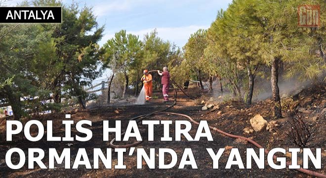 Gazipaşa Polis Hatıra Ormanı'nda yangın