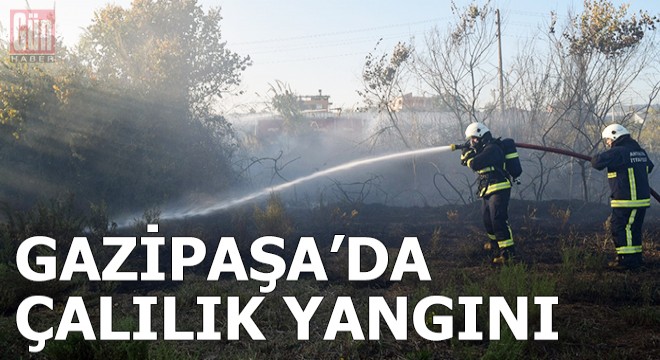 Gazipaşa'da çalılık yangını