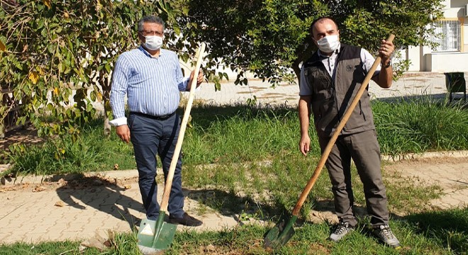 Gazipaşa'da iki okul bahçesine fidan dikildi