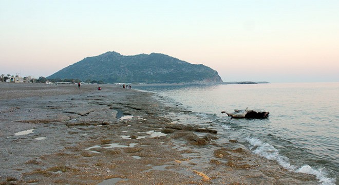 Antalya'da kıyıya boğa vurdu