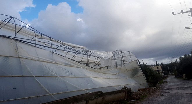 Gazipaşa da hortum tarım alanlarına zarar verdi