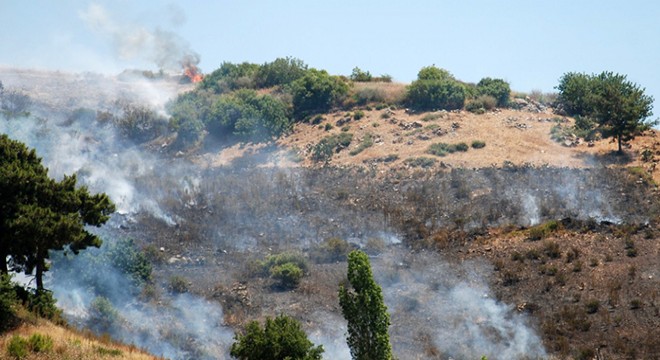 Gazipaşa da makilik ve tarım arazisi yandı