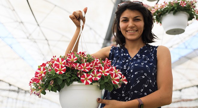 Geçen yıl çürüyen çiçeklere ilgi, bu yıl iki kat arttı
